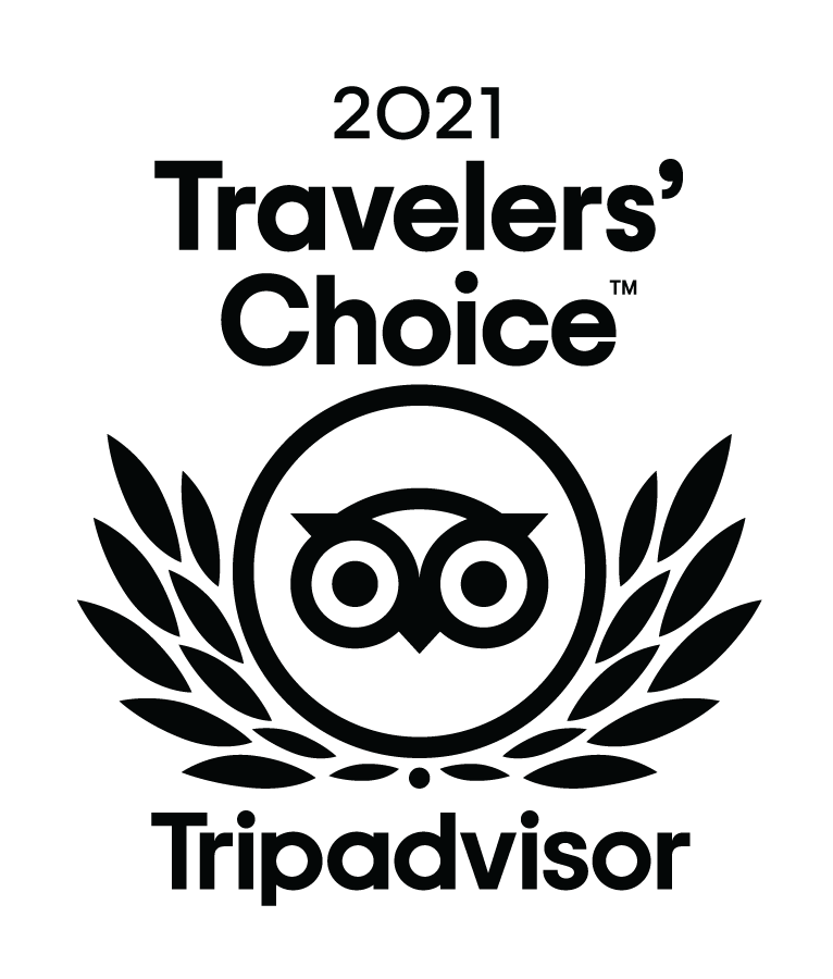 logo traveler's choice 2021 TripAdvisor