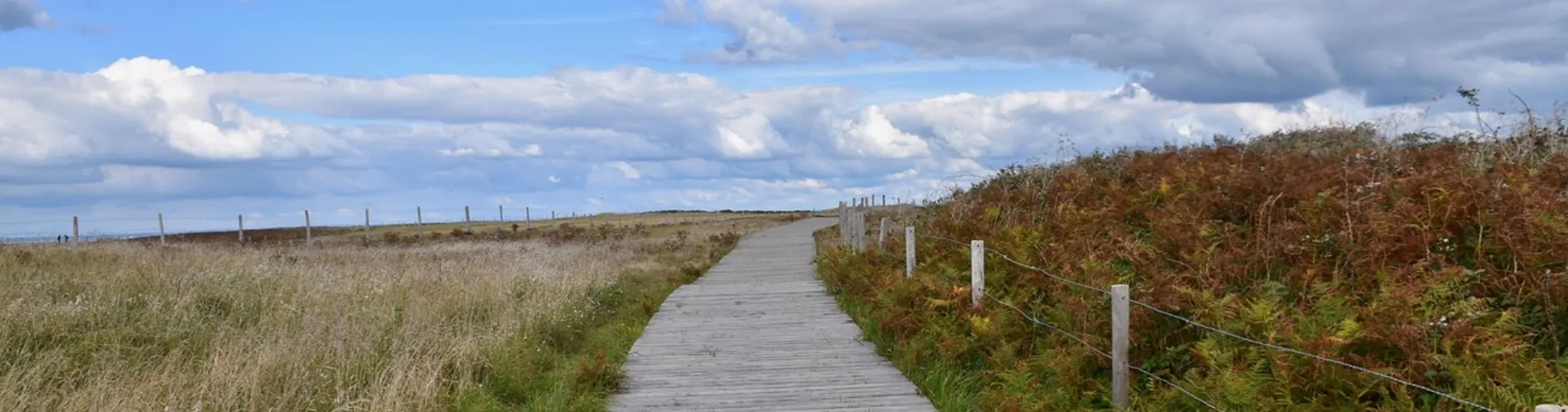 Holzweg Küste GR34 Bretagne